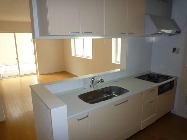 施工例 キッチン|印旛郡酒々井町東酒々井4-4-119 新築一戸建て